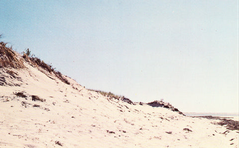 Vintage postcard front.Sand Dunes on Nauset Beach at Pleasant Bay - Chatham,Cape Cod,Massachusetts