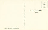 Vintage Post Card Back- White Tail Buck on The Alert