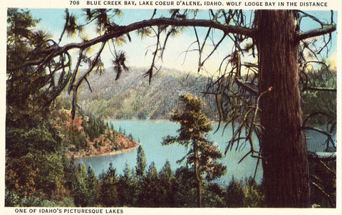 Blue Creek Bay,Lake Coeur D'Alene,Idaho. Linen postcard front