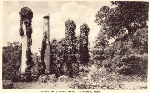 Vintage postcard front. Scene in Duncan Park - Natchez,Mississippi
