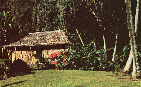 Vintage postcard front. Princess Kaiulani Home,Waiolo Tea Room- Honolulu,Hawaii