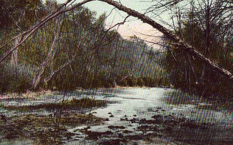 Vintage postcard front. Along A Mountain Stream in The Land of The Sky - North Carolina
