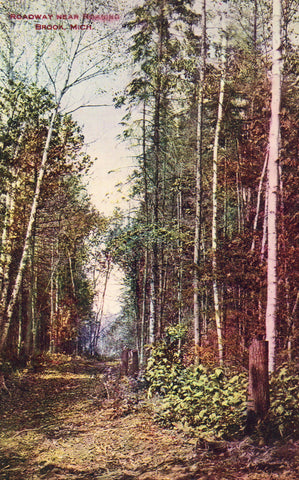 Vintage postcard front. Roadway near Roaring Brook,Michigan
