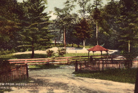 Vintage postcard front. View from Hotel Porch - Colvin's White Sulphur Springs,Pennsylvania