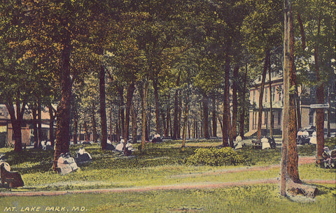 View in Mt. Lake Park-Maryland 1917 - Cakcollectibles - 1