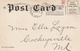 Washington Elm-Cambridge,Massachusetts 1905
