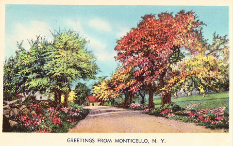 Linen Postcard Front - Greetings from Monticello,New York