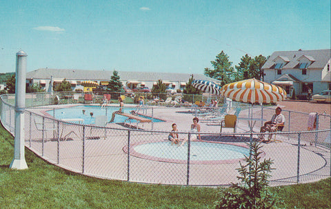 Swimming Pool,Pine Crest Motel-Sioux Falls,South Dakota - Cakcollectibles - 1