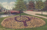 Pansy Bed,Belle Isle-Detroit,Michigan 1910 - Cakcollectibles - 1
