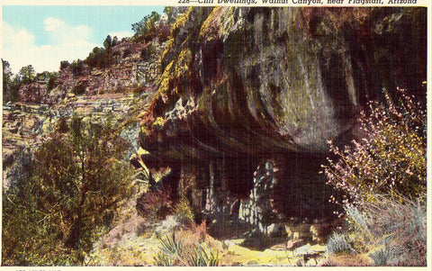 Linen postcard front. Cliff Dwellings - Walnut Canyon near Flagstaff,Arizona