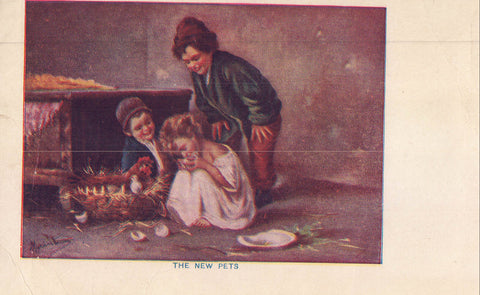 Early Post Card-The New Pets-Children with Baby Chicks 1908