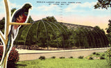 Vintage postcard front. World's Largest Bird Cage,Forest Park - St. Louis,Missouri