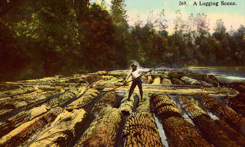 Vintage Postcard Front- A Logging Scene