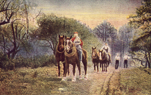 Vintage Postcard Front - "Coming Home"