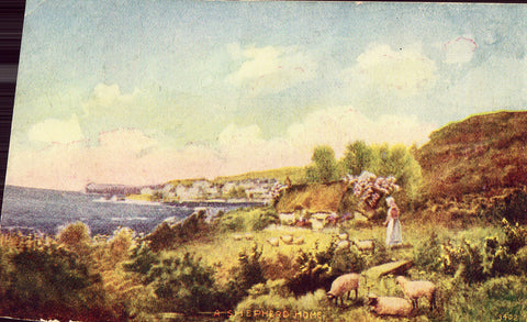 Vintage Postcard - A Shepherd Home