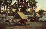 Vintage postcard front - Ox Carts - Pampango,Phillipne Islands