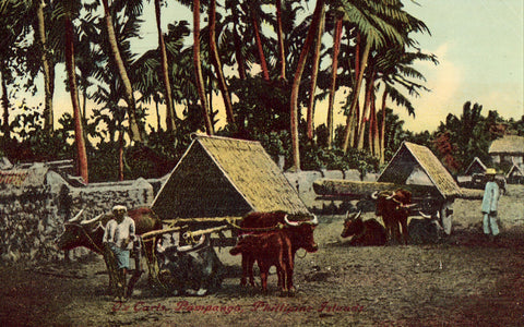 Vintage postcard front - Ox Carts - Pampango,Phillipne Islands