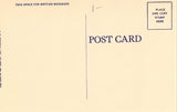 Linen post card back - Post Office - Auburn,New York
