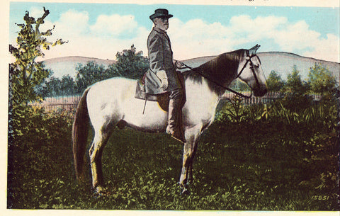 Vintage postcard front - General Robert E. Lee. on "Traveler" at Gettysburg,Pennsylvania