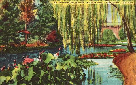 Linen postcard Magnificent Foliage,McKinley Park - Sacramento,California