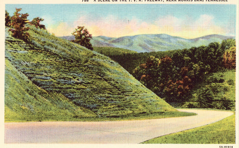 Linen postcard A Scene on The T.V.A. Freeway near Norris Dam,Tennessee