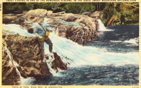 Linen postcard Trout Fishing in The Great Smoky Mountains National Park