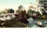 Vintage postcard Rustic Bridge,Washington Park - Chicago,Illinois