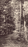 Vintage postcard Road Scene,Boiling Springs near Mountain Lake Park,Maryland