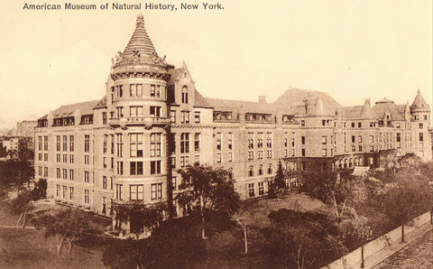 Vintage postcard front American Museum of Natural History - New York City