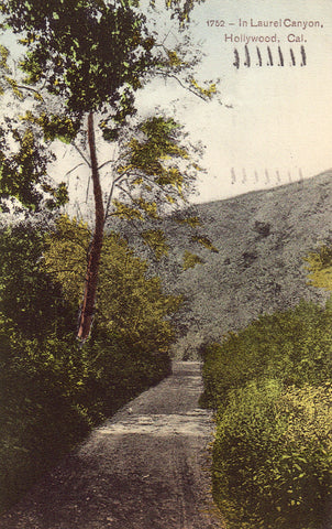 Vintage postcard front View in Laurel Canyon - Hollywood,California