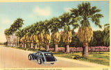 Linen postcard front Palm Lined Highway - Lower Rio Grande Valley of Texas