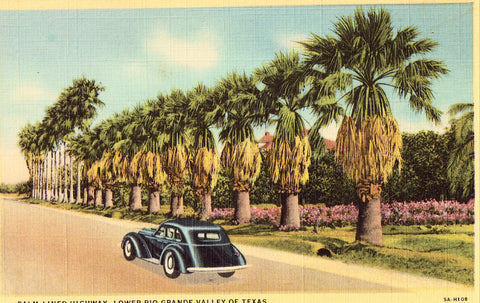 Linen postcard front Palm Lined Highway - Lower Rio Grande Valley of Texas
