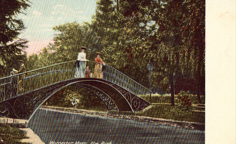 Vintage postcard Bridge in Elm Park - Worcester,Massachusetts