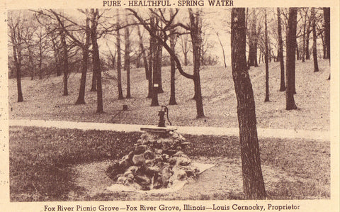 Vintage postcard - Fox River Picnic Grove - Fox River Grove,Illinois