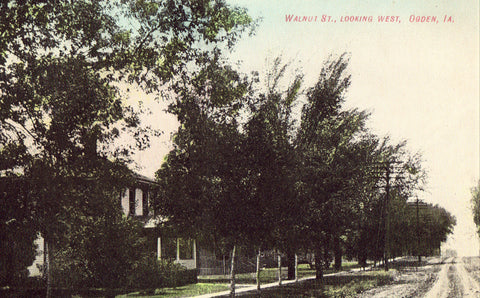 Vintage postcard - Walnut Street,Looking West - Ogden,Iowa