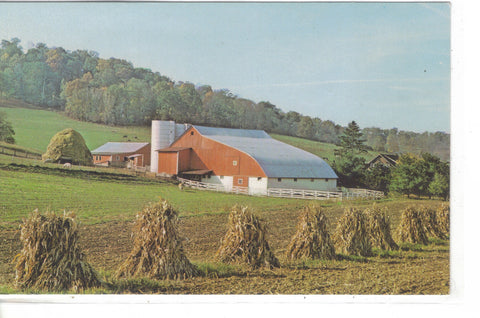 Rural Scene In The Wonderful World Of Ohio - Cakcollectibles