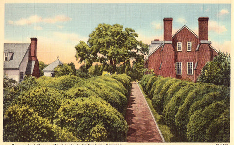 Linen postcard Boxwood at George Washington's Birthplace - Virginia