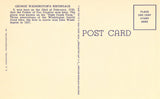 Linen postcard back Boxwood at George Washington's Birthplace - Virginia