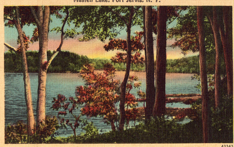 Linen Postcard - Masten Lake - Port Jervis,New York