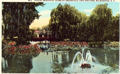 Vintage postcard Typical Beautiful Scene at Greenfield Lake and Park - Wilmington,N.C.