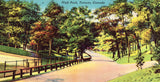 Vintage postcard High Park - Toronto,Canada