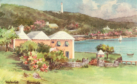 Waterlot - Bermuda