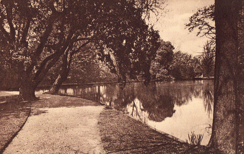 The Lake,Worcester College - Oxford