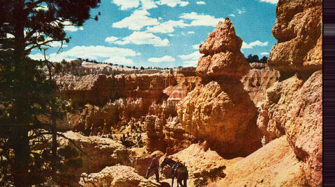 Vintage postcard Saddle Horse Trail - Bryce Canyon National Park - Utah