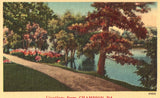 Linen postcard Greetings from Champion,Pennsylvania