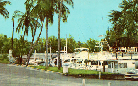 Vintage postcard A Picturesque Marina in Tropical Stuart,Florida
