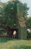 Post Card Powhatan's Chimney near Gloucester Point,Virginia