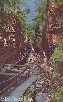 The Flume Gorge-Franconia Notch,New Hampshire - Cakcollectibles